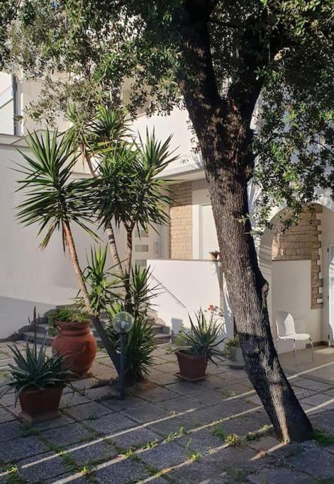 Appartamento Lecci Al Mare San Vincenzo Esterno foto