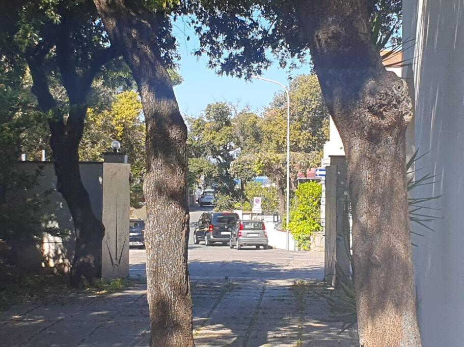 Appartamento Lecci Al Mare San Vincenzo Esterno foto