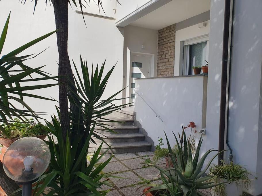 Appartamento Lecci Al Mare San Vincenzo Esterno foto