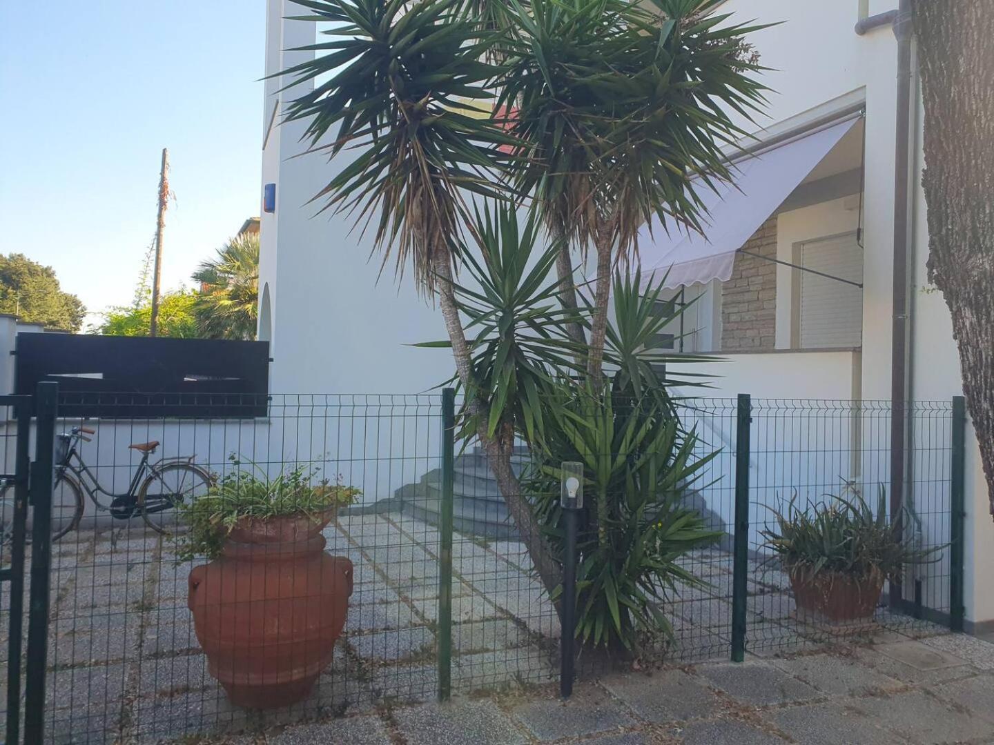 Appartamento Lecci Al Mare San Vincenzo Esterno foto